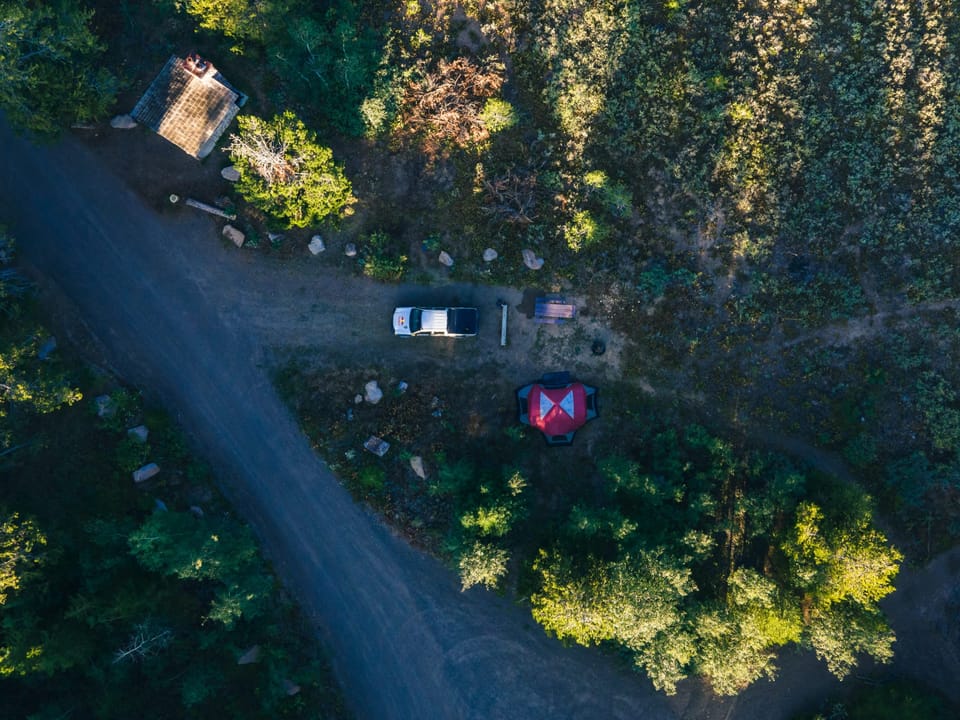 Aerial view of a forest road and clearing among dense pine trees