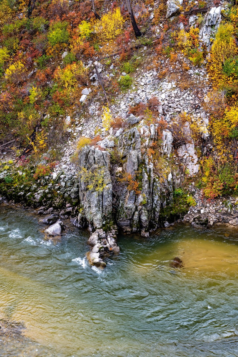 River rapids below rocky banks with yellow autumn foliage