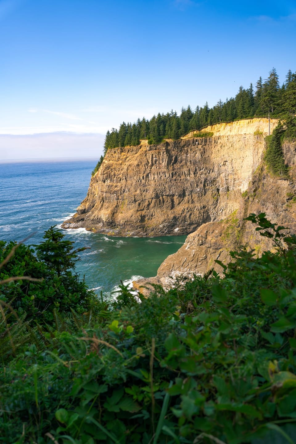 Forested headland and sheer cliffs above a blue Pacific cove