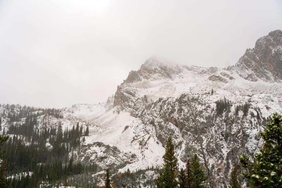 Snow-dusted rocky mountain peaks rising above evergreen forest under a pale, misty sky